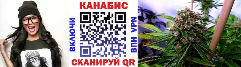 Каннабис ГИДРОПОН Сокол